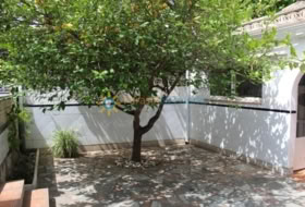 Oliva 150&nbsp;m² 