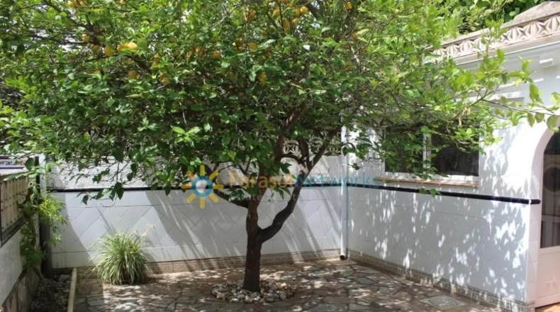 Valencia - Oliva - 150m2