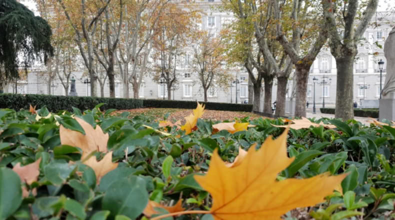 Comunidad de Madrid - Madrid - 55m2