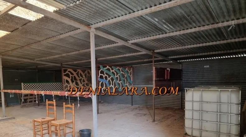 Alicante - Pedreguer - 2400m2