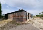 Non-developable land for rent on España, Pedreguer, ref: TR299832 photo