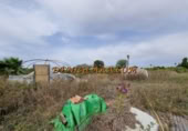 Non-developable land for rent on España, Pedreguer, ref: TR299832 photo