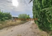Non-developable land for rent on España, Pedreguer, ref: TR299832 photo