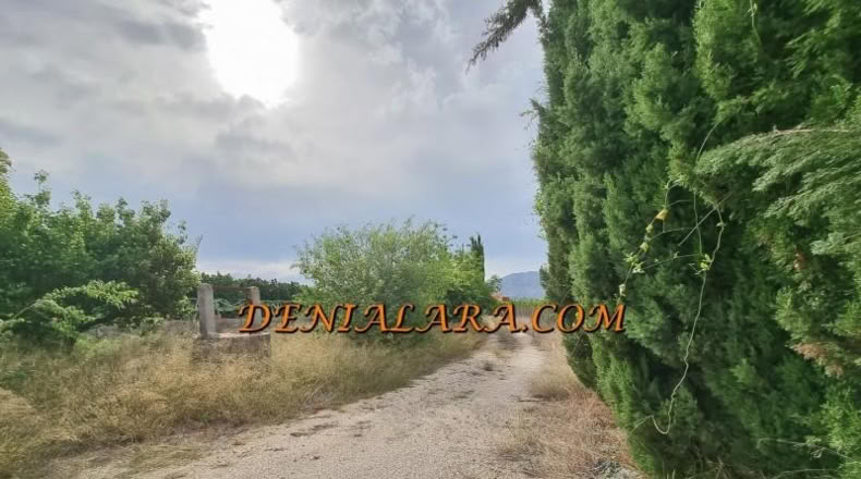 Alicante - Pedreguer - 2400m2
