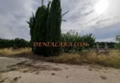 Non-developable land for rent on España, Pedreguer, ref: TR299832 photo