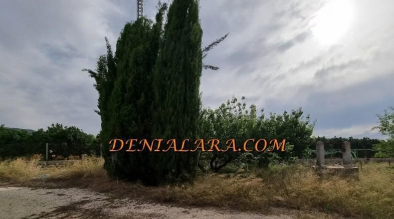 Alicante - Pedreguer - 2400m2