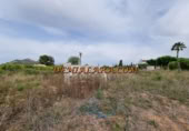 Non-developable land for rent on España, Pedreguer, ref: TR299832 photo