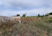 Non-developable land for rent on España, Pedreguer, ref: TR299832 photo