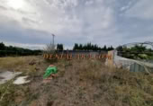 Non-developable land for rent on España, Pedreguer, ref: TR299832 photo