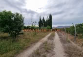 Non-developable land for rent on España, Pedreguer, ref: TR299832 photo