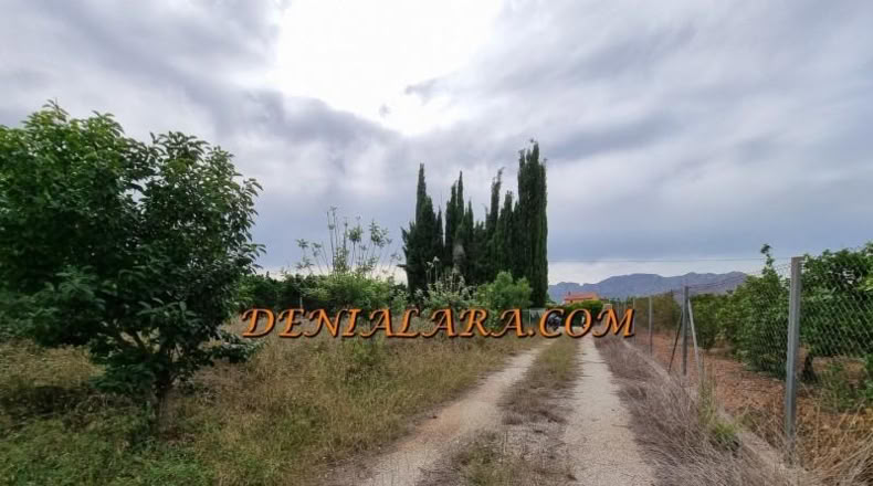 Alicante - Pedreguer - 2400m2