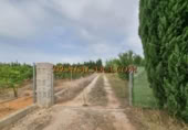 Non-developable land for rent on España, Pedreguer, ref: TR299832 photo