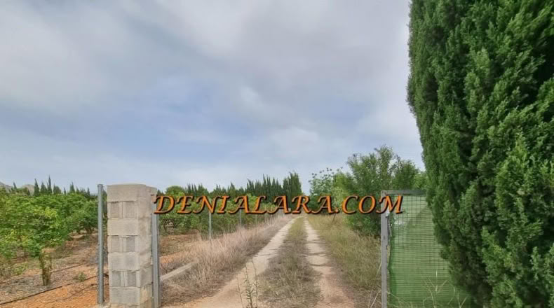 Alicante - Pedreguer - 2400m2