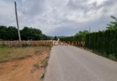 Non-developable land for rent on España, Pedreguer, ref: TR299832 photo