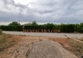 Non-developable land for rent on España, Pedreguer, ref: TR299832 photo