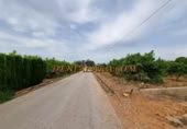 Non-developable land for rent on España, Pedreguer, ref: TR299832 photo
