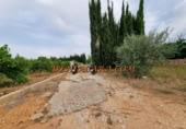 Non-developable land for rent on España, Pedreguer, ref: TR299832 photo