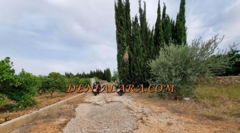 Alicante - Pedreguer - 2400m2