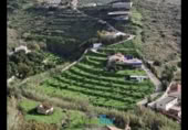 Xalet independent amb terreny en lloguer a la España, Almuñécar, ref.: TR212254 foto