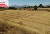 Non-developable land for rent on España, Ibi, ref: TR311912 photo