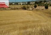 Non-developable land for rent on España, Ibi, ref: TR311912 photo