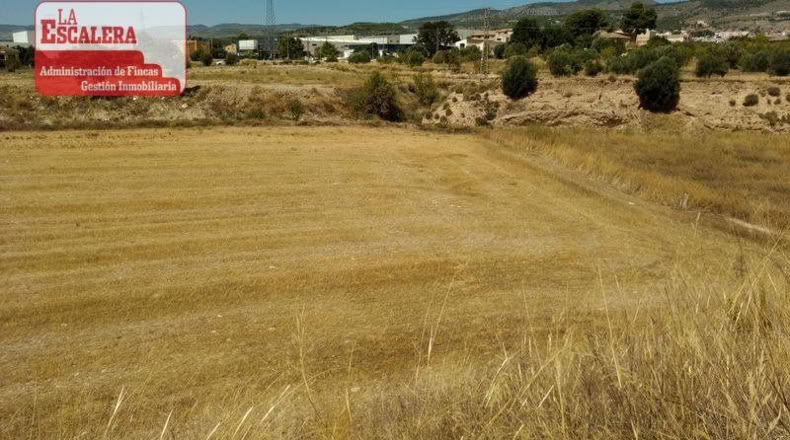Alicante - Ibi - 10913m2