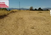 Non-developable land for rent on España, Ibi, ref: TR311912 photo