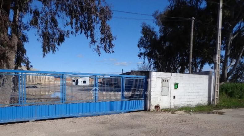 Cáceres - Cáceres - 4100m2