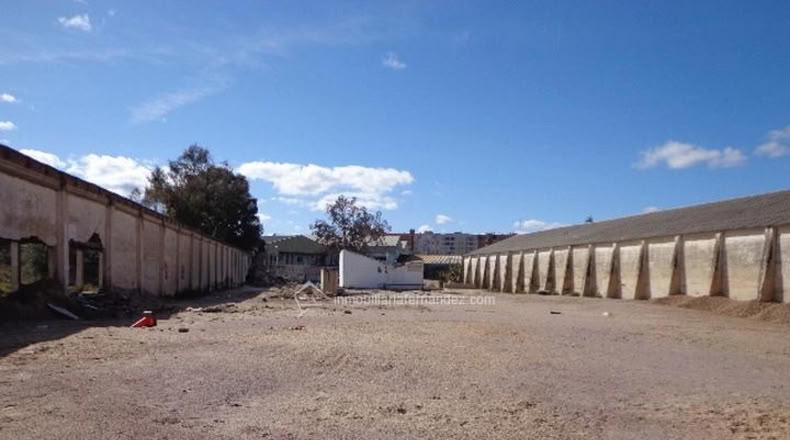 Cáceres - Cáceres - 4100m2