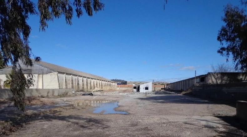 Cáceres - Cáceres - 4100m2