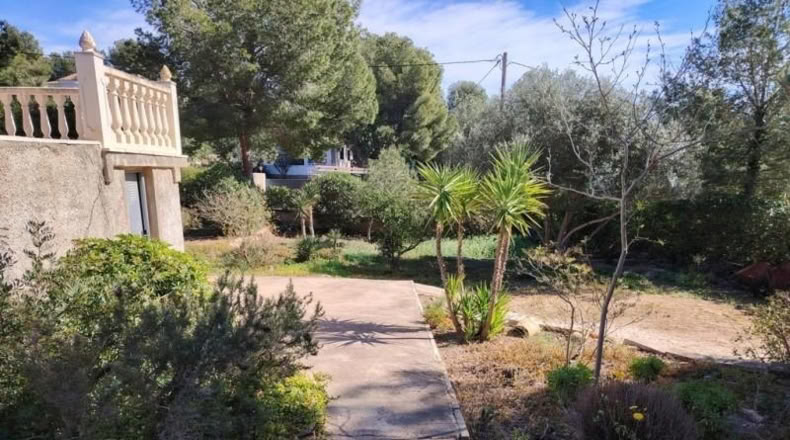 Valencia - Olocau - 1200m2
