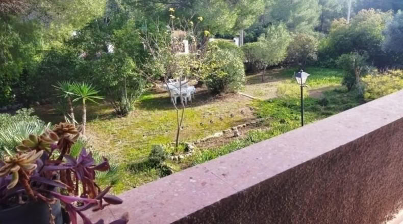 Valencia - Olocau - 1200m2