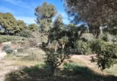 Xalet independent amb terreny en lloguer a la España, Olocau, ref.: TR400062 foto