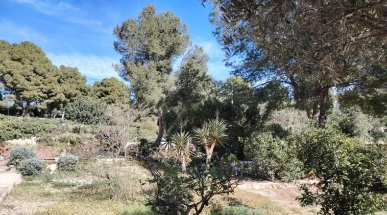 Valencia - Olocau - 1200m2