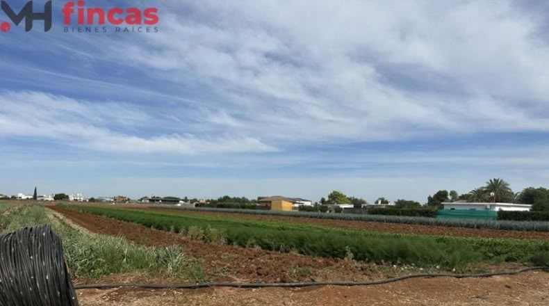 Sevilla - Sevilla - 8800m2