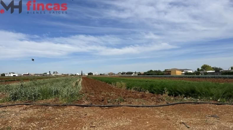 Sevilla - Sevilla - 8800m2