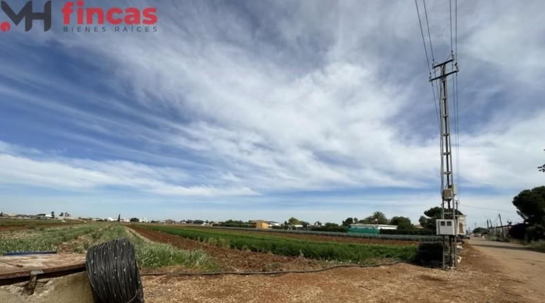 Sevilla - Sevilla - 8800m2