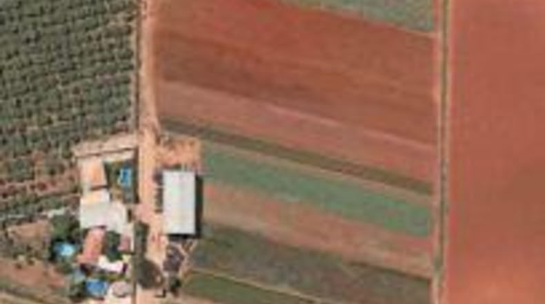 Sevilla - Sevilla - 8800m2