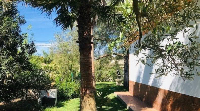 Cadiz - Chiclana de la Frontera - 1000m2
