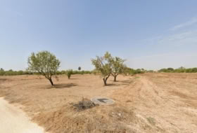 Torrellano 14000&nbsp;m² 