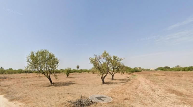 Alicante - Torrellano - 14000m2