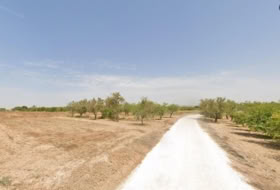 Torrellano 14000&nbsp;m² 