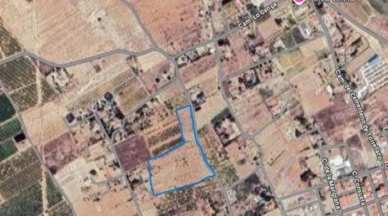 Alicante - Torrellano - 14000m2