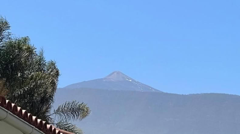 Santa Cruz de Tenerife - La Orotava - 700m2