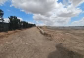 Non-developable land for rent on España, Murcia, ref: TR311026 photo