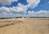 Non-developable land for rent on España, Murcia, ref: TR311026 photo