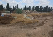 Non-developable land for rent on España, Murcia, ref: TR311026 photo