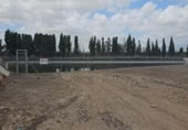 Non-developable land for rent on España, Murcia, ref: TR311026 photo