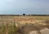 Non-developable land for rent on España, Seseña, ref: TR318841 photo
