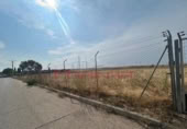 Non-developable land for rent on España, Seseña, ref: TR318841 photo